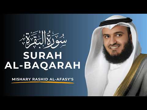 Surah Al Baqarah Mishary Alafasy | Protect Your Home from Evil & Bring Barakah - مشاري العفاسي