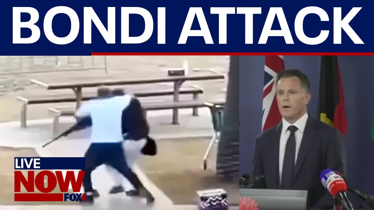 Bondi shooting: Surviving suspect charged, 15 counts of murder & terrorism charges