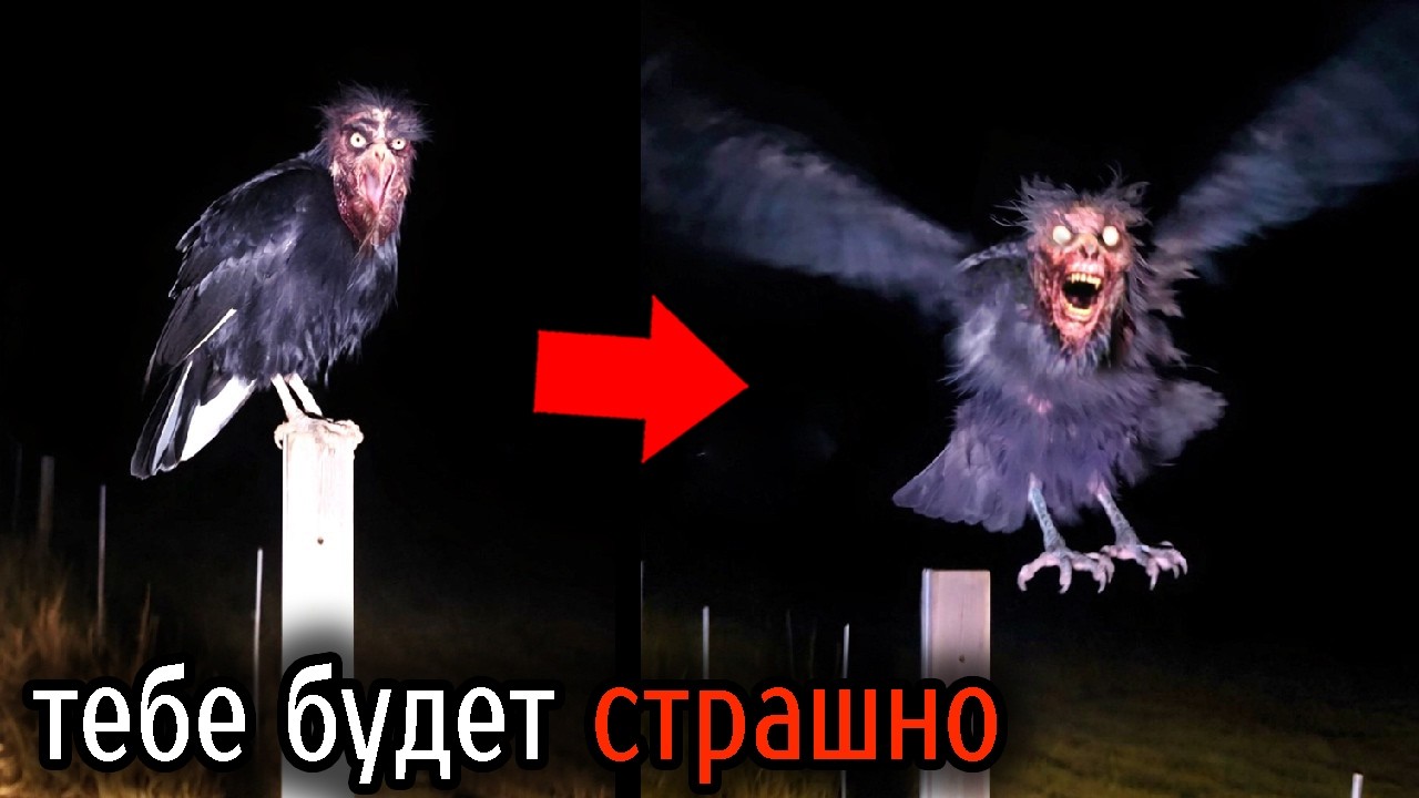 Самые Ужасные Видео со Всего Мира #103