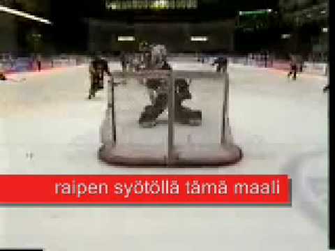 Ilves fani video