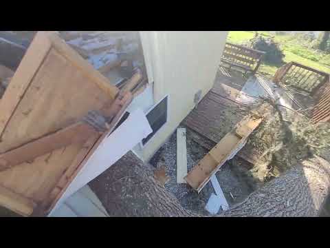 Hazardous Tree Emergency