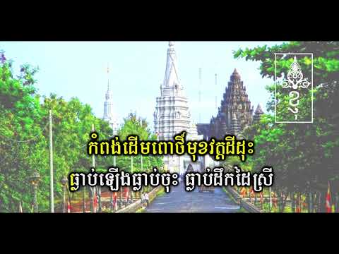 ម្លិះលាចាកទង ភ្លេងសុទ្ធ​ Mlis Lea Chaktong Pleng Sot KARAOKE