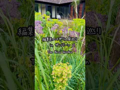 メンテナンスフリーの屋外植物はどれを選ぶべきですか?あらゆる庭に適した一年生、多年生、耐久性のある種です。  庭園