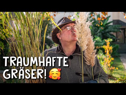 These grasses will beautify your garden! - Pampas grass and more 🌿 - Garden design ideas