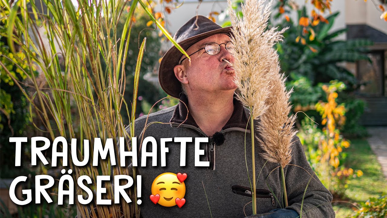 Gartengestaltung Video 1