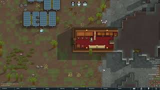 Video 2
