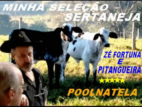 MINHA SELEÇÃO ZÉ FORTUNA E PITANGUEIRA