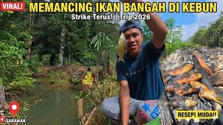 Download lagu Memancing ikan Bangah di kebun Guarana strike terus mp3 Download lagu Memancing ikan Bangah di kebun Guarana strike terus mp3