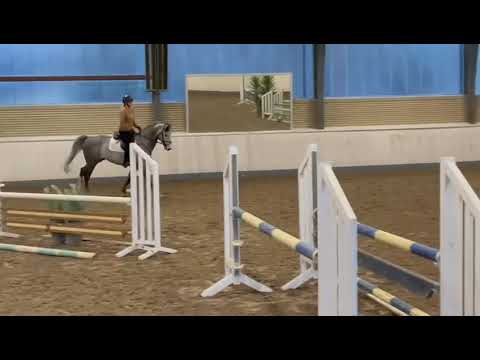 7 j. Wallach v. Calido x Limbus