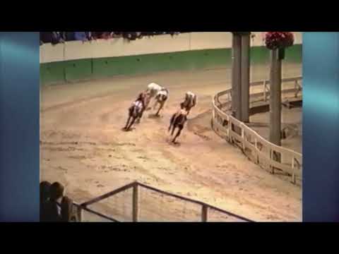 1991 GREYHOUND DERBY FINAL - BALLINDERRY ASH