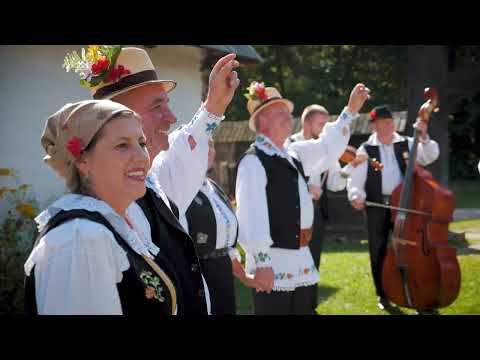 Ana Ilca - Decât cu bărbat beţâu'