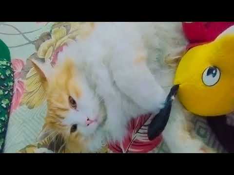 utho beta aftari ka time hogya😘😂