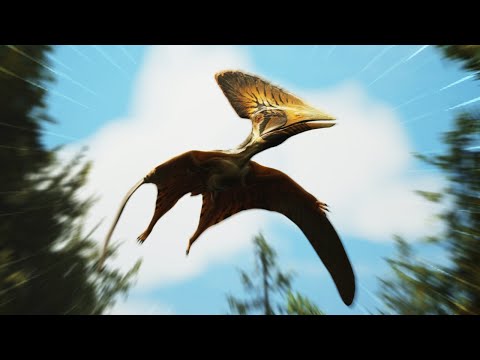 How Yellowtones Became KING of the Sky!