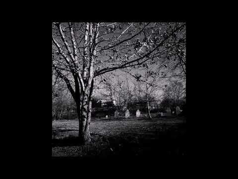 11. The Virus and Antidote - Lullaby (ft. DRG) [26.01.2016]