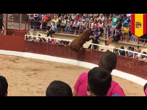 , title : 'Un taureau se fâche et saute sur des Espagnols'