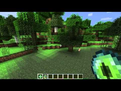 jak postavit endertrapku