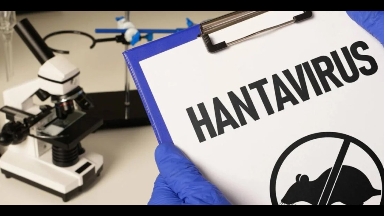 HANTAVIRUS: O SUS ESTÁ PREPARADO? INFECTOLOGISTA RESPONDE