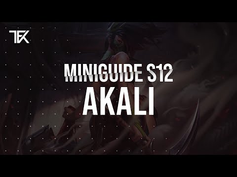 Akali Miniguide S12 german | TFK