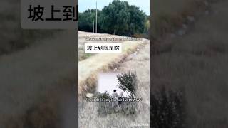 Download lagu 😭After RL finale there's a church at end of that slope#tianziyu #vdcrd #shorts #fyp #douyin mp3 Download lagu 😭After RL finale there's a church at end of that slope#tianziyu #vdcrd #shorts #fyp #douyin mp3