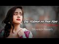 Dil Todna Hi Tha Toh Dil Se Lagaya Kyo Slowed Reverb Trending Lofi Song