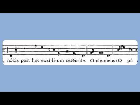 Salve Regina (Simple Tone)