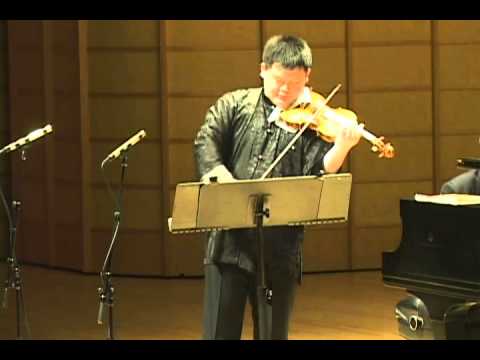 Violin - In the Dense Forest 在密密的森林里