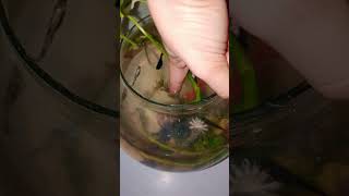 Download lagu FABI AYYI ALA I RABBIKUMA TUKAZZIBAN | Allah o Akber mp3