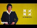 José José Almohada Letra Oficial