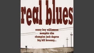 Beer Drinkin&#39; Woman (Remastered)