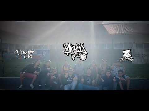 NP HEAVEN - FLY A WAY  ( REMIX Z019 )