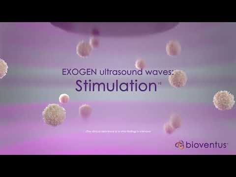 How EXOGEN Works (Mechanism of Action)