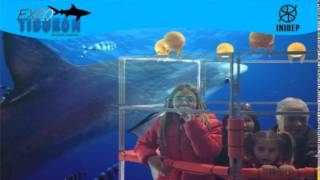 DIA 2 Expo Tiburon60