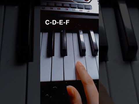 Baby Shark Piano (easy chords)
