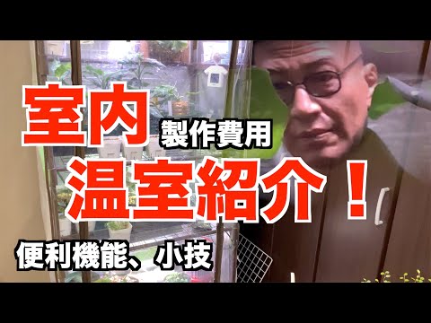 冬に向けて温室を準備することは、自尊心のあるすべての庭師の優先事項です。どのような活動を始めるべきですか?  庭園