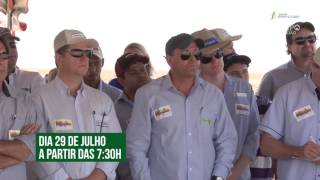 Vem aí! Dia de Campo de Algodão - 2017