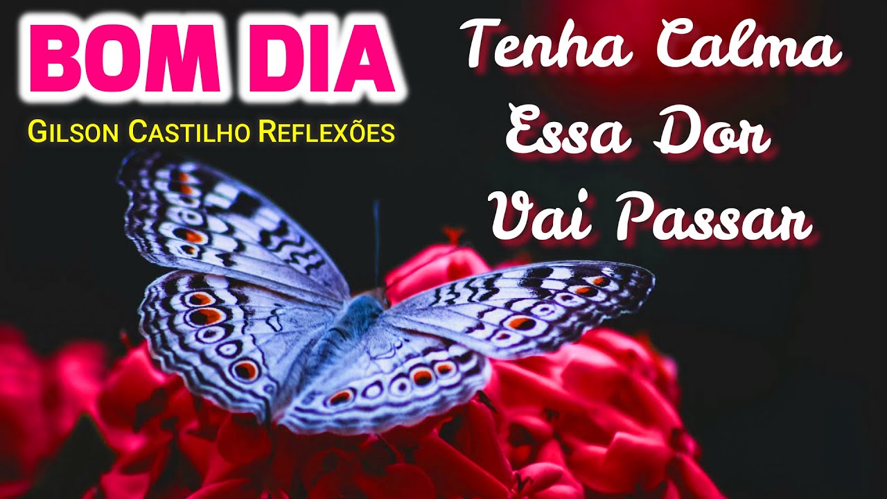 Calma Essa Dor Vai Passar ! Mensagem de Bom Dia