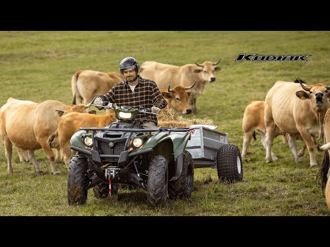 2026 Yamaha Kodiak 700 EPS: The Beauty of Work