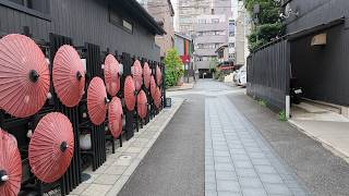 【東京 散歩 5】 八王子散策 甲州街道の宿場町 絹織物産業で栄えた「桑の都」 伝統を残す花街を歩く (2026年6月)