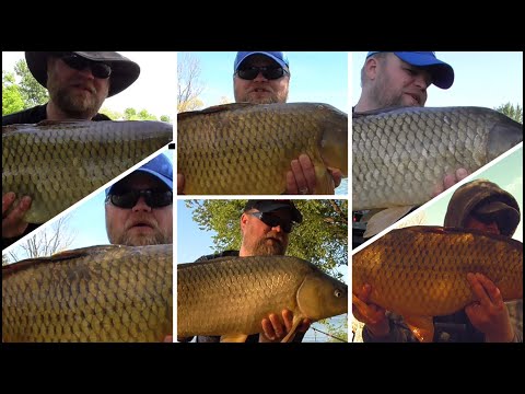 Carp Fishing Best Moments 2021 - Full Fishing Movie
