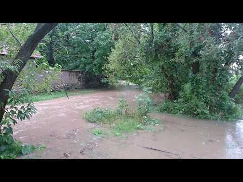 Áradat a kert végében