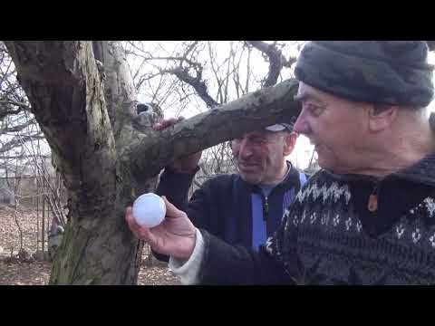 Vlad Constantin,Liviu Minescu Curentul din mar (Campina)