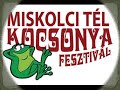 Miskolci Kocsonya Dal