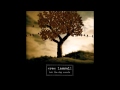 Greg Laswell - Days Go On