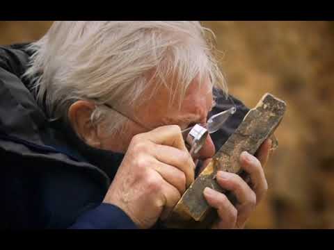 David Attenborough's Rise of Animals: Triumph of the Vertebrates | Episode 1 of 2 | 2013