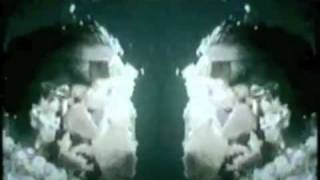 The Stone by Ashes Divide