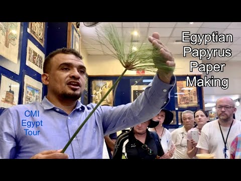 Egyptian Papyrus Paper Making | Luxor | CMI Egypt Tour.