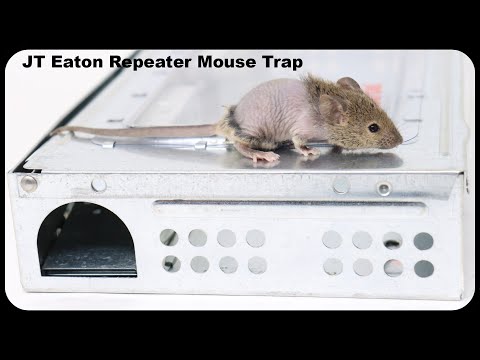 Mousinator Multiple Mouse Trap System V0.0 Demo - DIY link at end.
