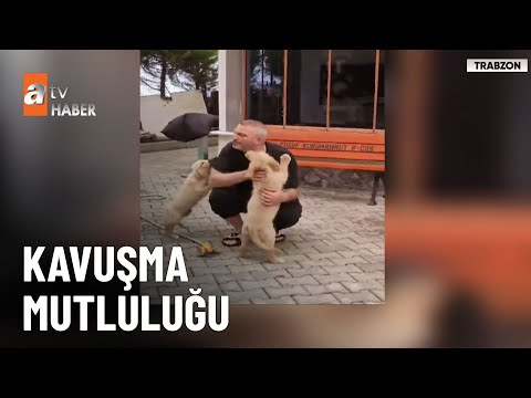 Kavuşma anı yürekleri ısıttı  - atv Ana Haber 22 Ağustos 2024