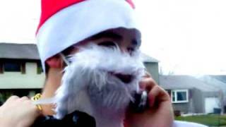 FAN MADE MUSIC VIDEO:: Christmas In Hollywood (Hollywood Undead)