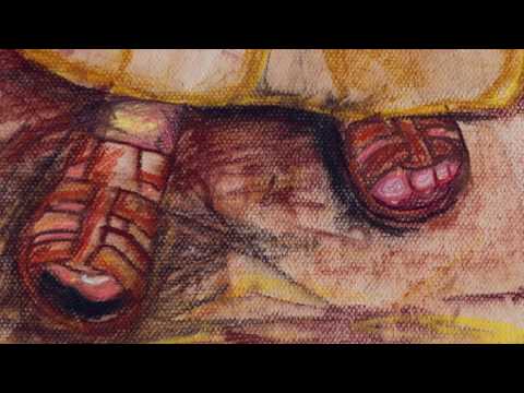 Shake Off The Dust Vineyard Music  (full album)